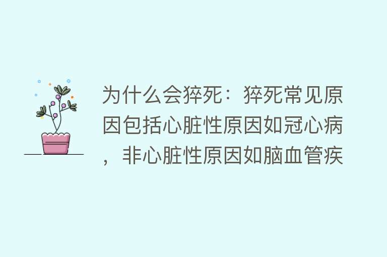 为什么会猝死：猝死常见原因包括心脏性原因如冠心病，非心脏性原因如脑血管疾病等，预防需定期体检、戒烟、合理膳食等