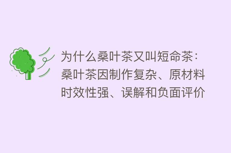 为什么桑叶茶又叫短命茶：桑叶茶因制作复杂、原材料时效性强、误解和负面评价被称为“短命茶”，但其具有多种功效