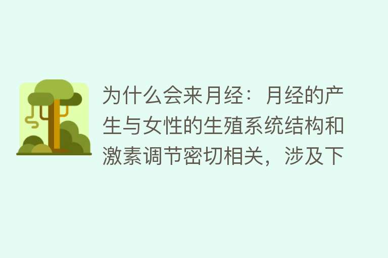 为什么会来月经：月经的产生与女性的生殖系统结构和激素调节密切相关，涉及下丘脑 - 垂体 - 卵巢轴的神经内分泌调节