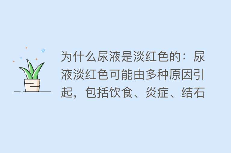 为什么尿液是淡红色的：尿液淡红色可能由多种原因引起，包括饮食、炎症、结石、肿瘤等需检查并治疗