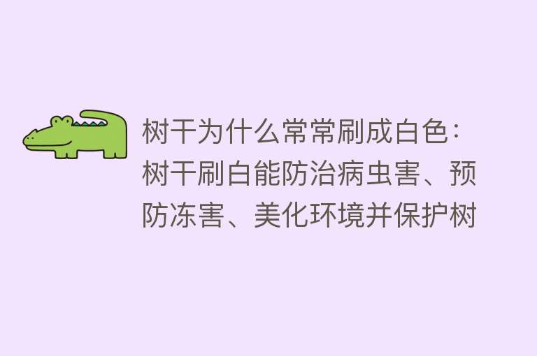 树干为什么常常刷成白色：树干刷白能防治病虫害、预防冻害、美化环境并保护树干健康