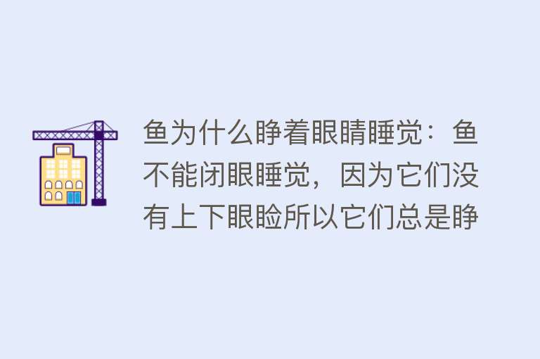 鱼为什么睁着眼睛睡觉：鱼不能闭眼睡觉，因为它们没有上下眼睑所以它们总是睁着眼睛睡觉