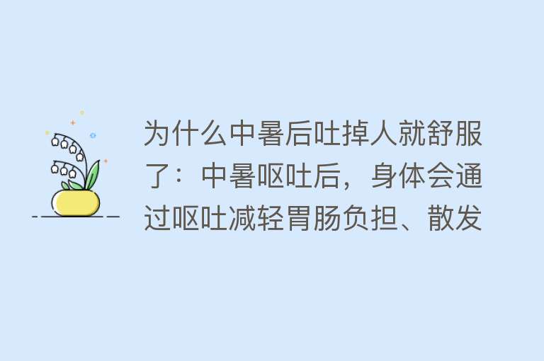 为什么中暑后吐掉人就舒服了：中暑呕吐后，身体会通过呕吐减轻胃肠负担、散发体内热量，恢复舒适感预防措施包括补充水分、调整饮食、注意穿着和环境等应对呕吐可通过转移至阴凉处、补充水分和电解质、药物治疗等方式