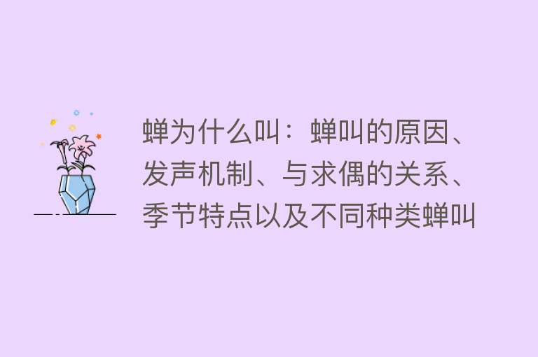 蝉为什么叫：蝉叫的原因、发声机制、与求偶的关系、季节特点以及不同种类蝉叫的差异