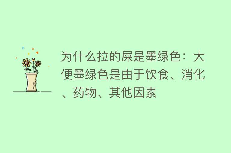 为什么拉的屎是墨绿色：大便墨绿色是由于饮食、消化、药物、其他因素