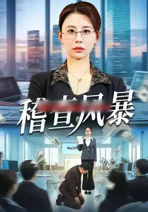 稽查风暴(79集全)郑天阳&徐香颖-搜外项目网