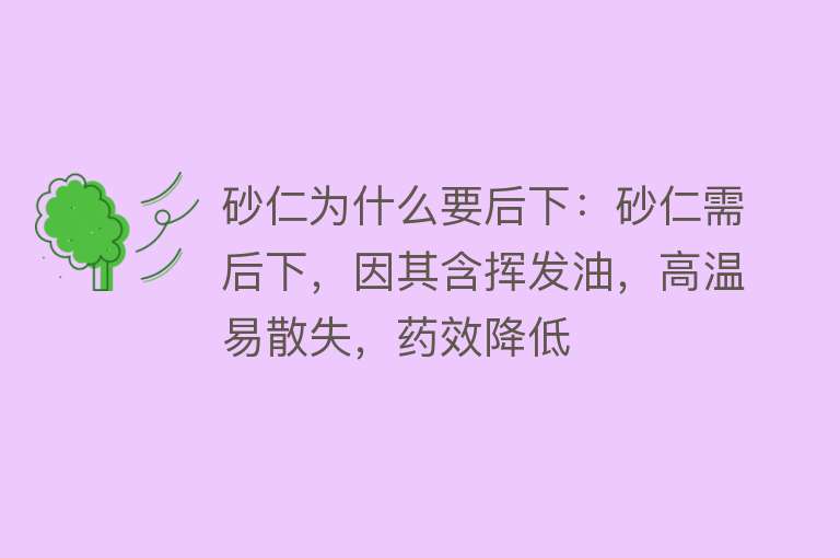 砂仁为什么要后下：砂仁需后下，因其含挥发油，高温易散失，药效降低