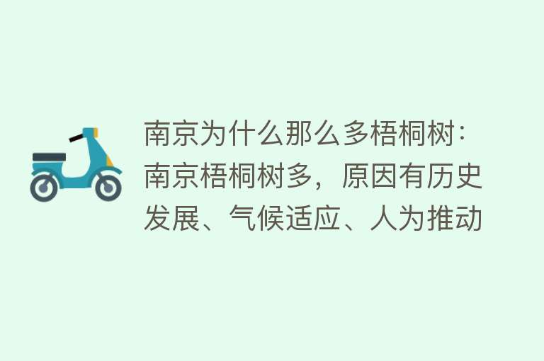 南京为什么那么多梧桐树：南京梧桐树多，原因有历史发展、气候适应、人为推动