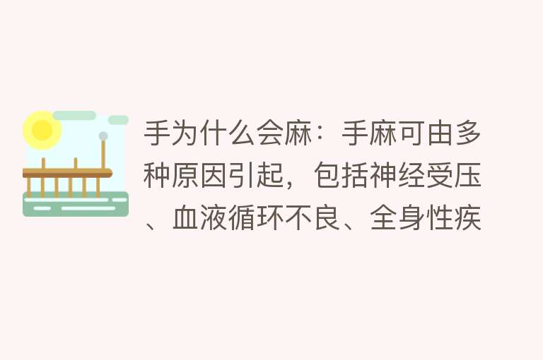 手为什么会麻：手麻可由多种原因引起，包括神经受压、血液循环不良、全身性疾病等，常见如颈椎病、腕管综合征、中风、糖尿病、神经炎等