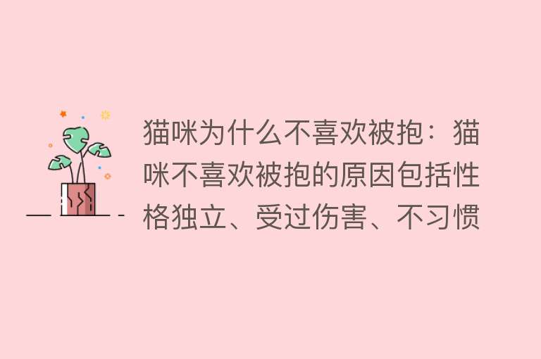 猫咪为什么不喜欢被抱：猫咪不喜欢被抱的原因包括性格独立、受过伤害、不习惯抱抱、抱猫姿势不对、身上有猫讨厌的味道以及抱的时机不对等