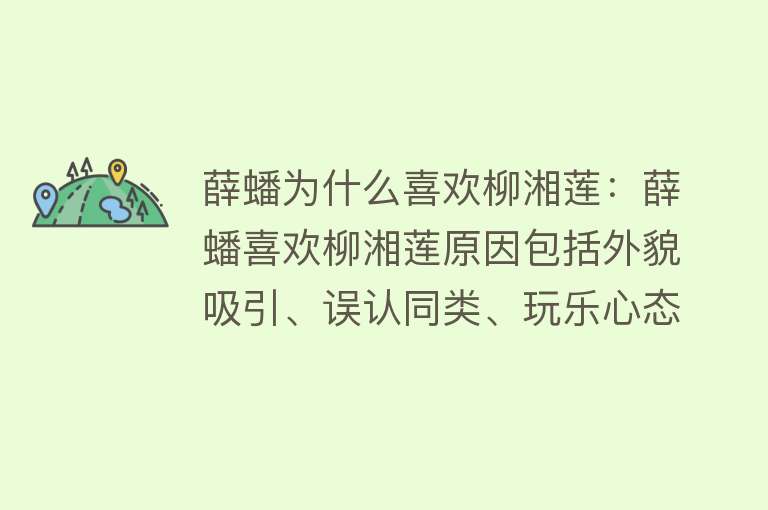 薛蟠为什么喜欢柳湘莲：薛蟠喜欢柳湘莲原因包括外貌吸引、误认同类、玩乐心态