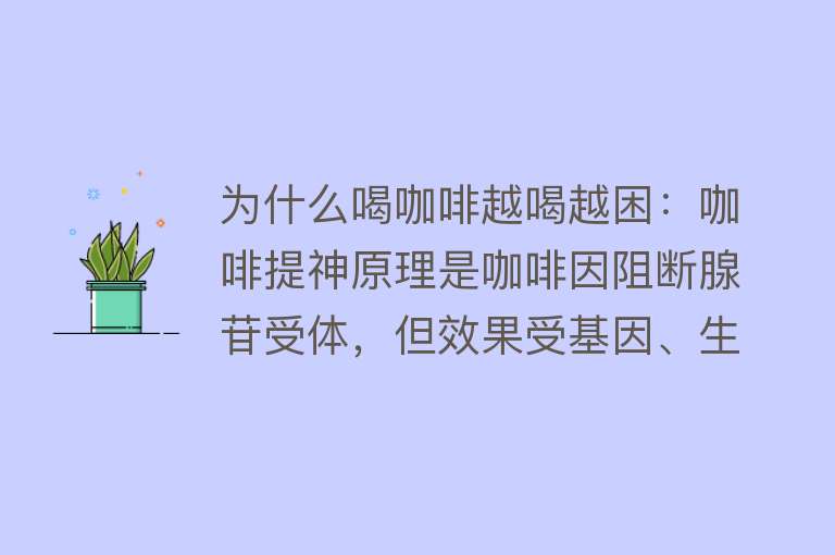 为什么喝咖啡越喝越困：咖啡提神原理是咖啡因阻断腺苷受体，但效果受基因、生活习惯、成分影响，需控制饮用时间和量