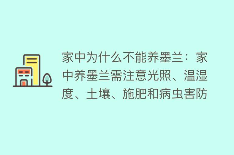 家中为什么不能养墨兰：家中养墨兰需注意光照、温湿度、土壤、施肥和病虫害防治，难度较高