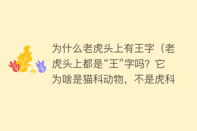 为什么老虎头上有王字（老虎头上都是“王”字吗？它为啥是猫科动物，不是虎科？解释来了……）