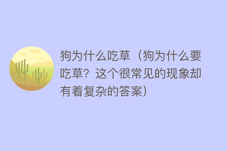 狗为什么吃草（狗为什么要吃草？这个很常见的现象却有着复杂的答案）