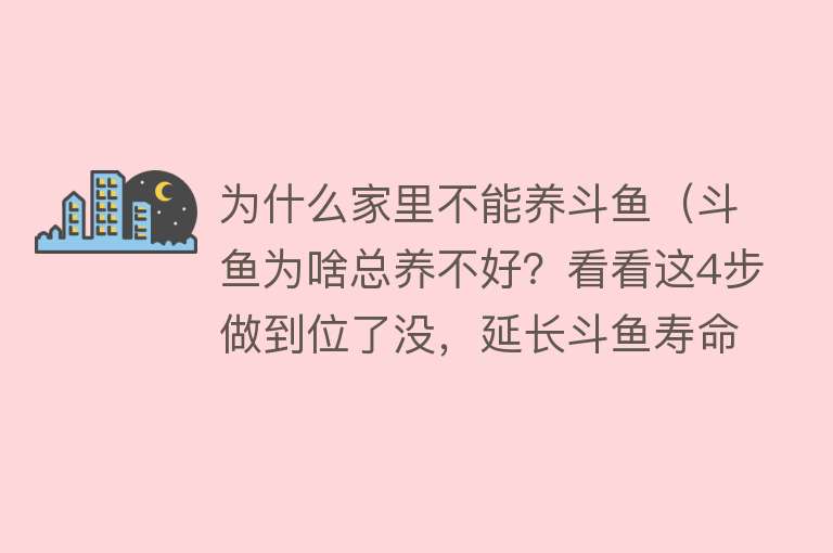 为什么家里不能养斗鱼（斗鱼为啥总养不好？看看这4步做到位了没，延长斗鱼寿命的法宝）