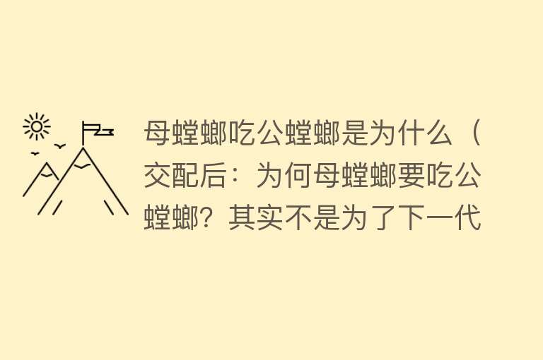 母螳螂吃公螳螂是为什么（交配后：为何母螳螂要吃公螳螂？其实不是为了下一代！公螳螂瘁）