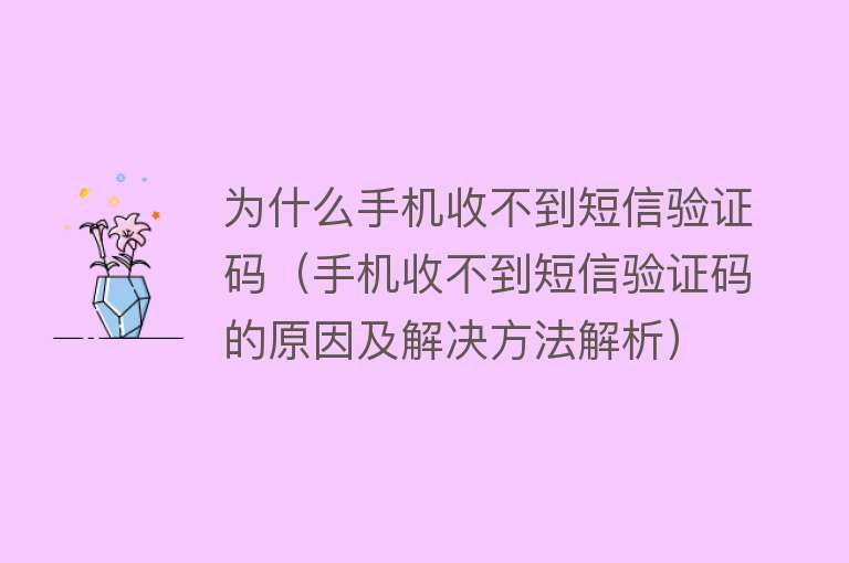 为什么手机收不到短信验证码（手机收不到短信验证码的原因及解决方法解析）