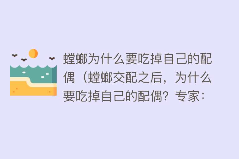 螳螂为什么要吃掉自己的配偶（螳螂交配之后，为什么要吃掉自己的配偶？专家：为了能繁衍后代）