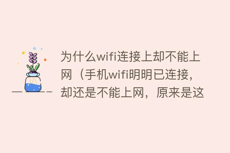 为什么wifi连接上却不能上网（手机wifi明明已连接，却还是不能上网，原来是这个地方没设置）