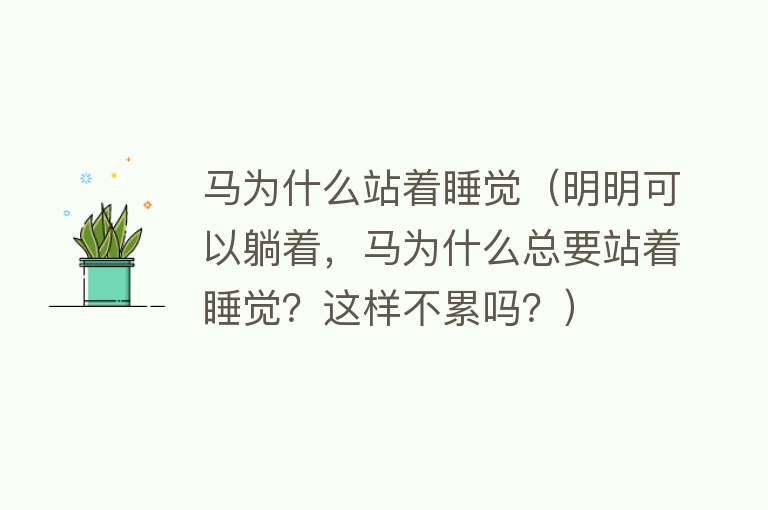 马为什么站着睡觉（明明可以躺着，马为什么总要站着睡觉？这样不累吗？）