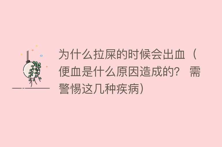 为什么拉屎的时候会出血（便血是什么原因造成的？ 需警惕这几种疾病）