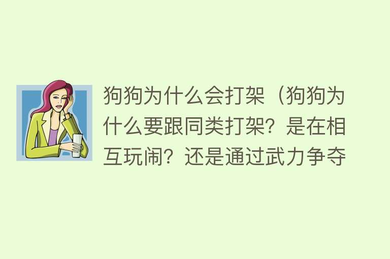 狗狗为什么会打架（狗狗为什么要跟同类打架？是在相互玩闹？还是通过武力争夺资源）