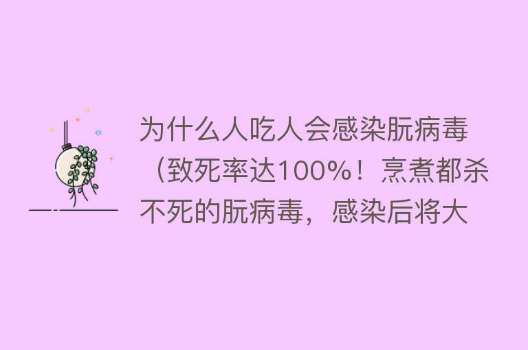 为什么人吃人会感染朊病毒（致死率达100%！烹煮都杀不死的朊病毒，感染后将大脑侵蚀成筛子）