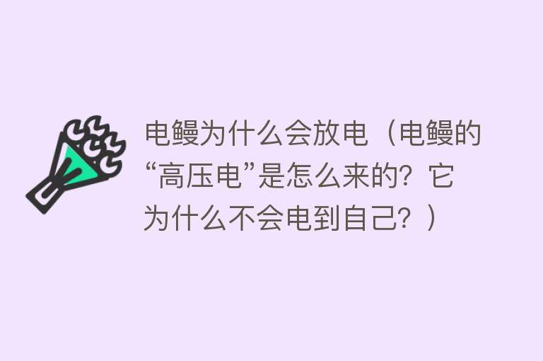 电鳗为什么会放电（电鳗的“高压电”是怎么来的？它为什么不会电到自己？）