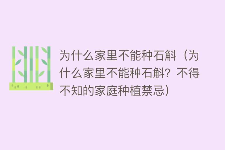 为什么家里不能种石斛（为什么家里不能种石斛？不得不知的家庭种植禁忌）