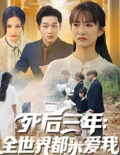 死后三年:全世界都来爱我(30集全)王斌超&王楚-搜外项目网