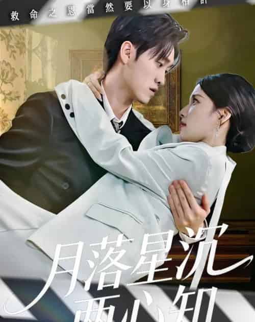 月落星沉两心知(40集全)安彤&舒金铸-搜外项目网