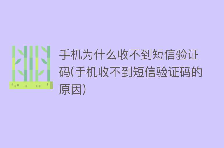 手机为什么收不到短信验证码(手机收不到短信验证码的原因)