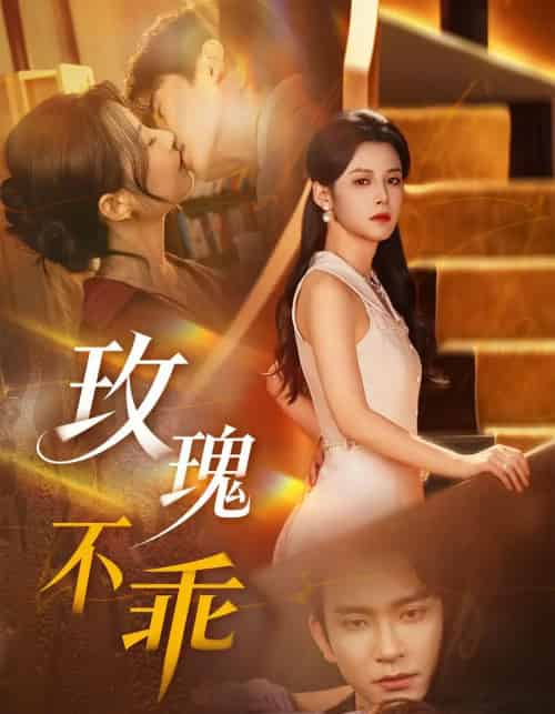 玫瑰不乖(69集全)王已歌&谭雯文-搜外项目网