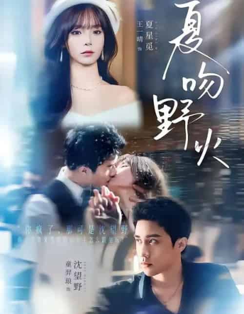 夏吻野火(80集全)童羿琅&王一晴-搜外项目网