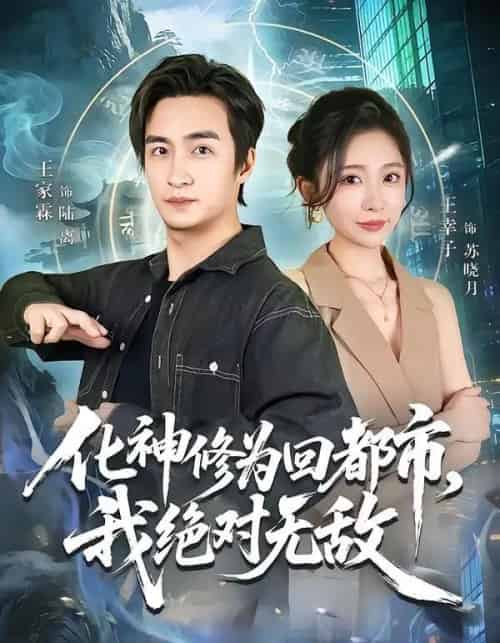 化神修为回都市,我绝对无敌(69集全)王家霖&王幸子-搜外项目网
