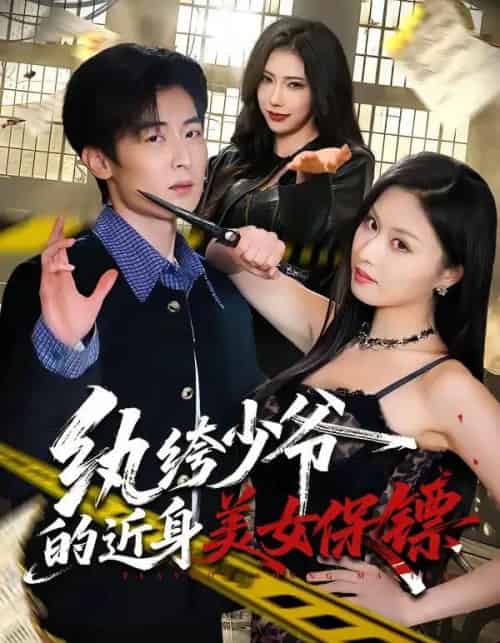 纨绔少爷的近身美女保镖(74集全)原晨&金美希-搜外项目网
