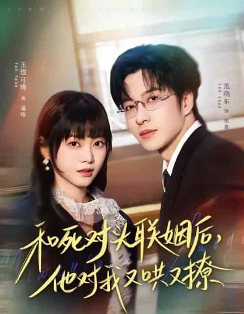 和死对头联姻后,他对我又哄又撩(80集全)范晓东&王煜可晴-搜外项目网