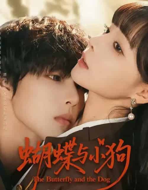蝴蝶与小狗(70集全)马义炎&唐七七-搜外项目网