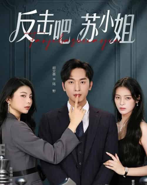 反击吧!苏小姐(63集全)曹若彤&胡文森-搜外项目网