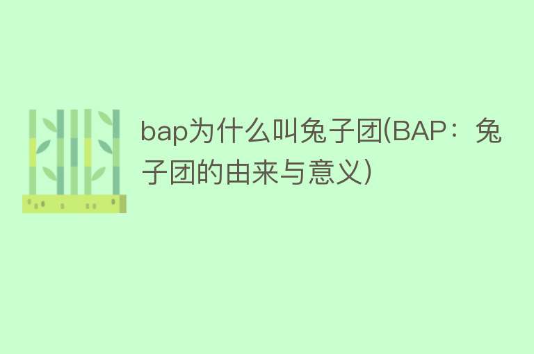 bap为什么叫兔子团(BAP：兔子团的由来与意义)