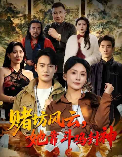 赌坊风云她靠斗鸡封神(60集全)娄宇瑶&白宗炎-搜外项目网