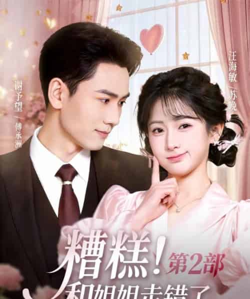 糟糕!和姐姐走错了第2部(80集全)谢予望&汪海敏-搜外项目网
