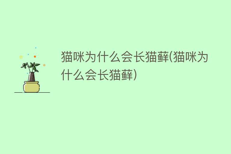 猫咪为什么会长猫藓(猫咪为什么会长猫藓)