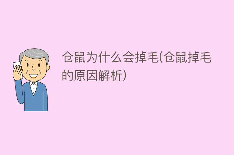 仓鼠为什么会掉毛(仓鼠掉毛的原因解析)