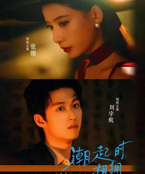 潮起时相拥(73集全)刘宇航&张珊-搜外项目网
