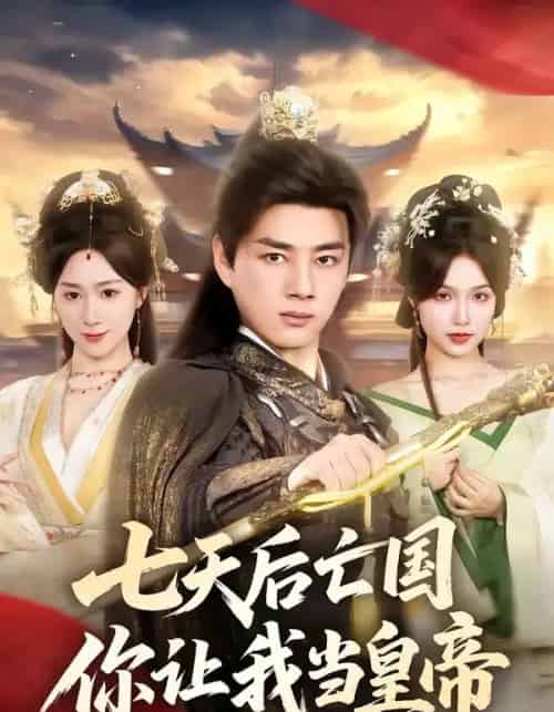 七天后亡国,你让我当皇帝(62集全)李进源&刘霖诺-搜外项目网