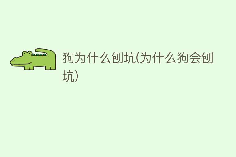 狗为什么刨坑(为什么狗会刨坑)