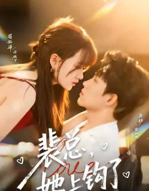 裴总,她上钩了(80集全)岳杨&苟钰浠-搜外项目网