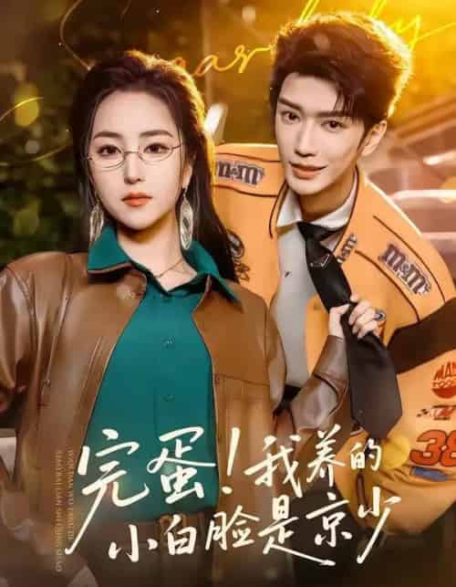 完蛋!我养的小白脸是京少(91集全)金玄雨&夏玄子-搜外项目网